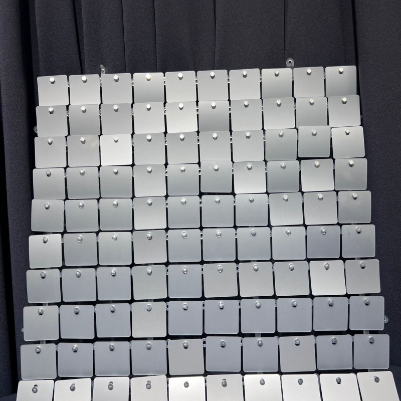 Gümüş Pul Panel