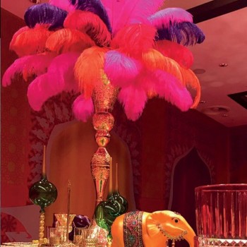 Tüy Renkli Tüy Renkli