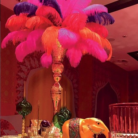 Tüy Renkli Tüy Renkli